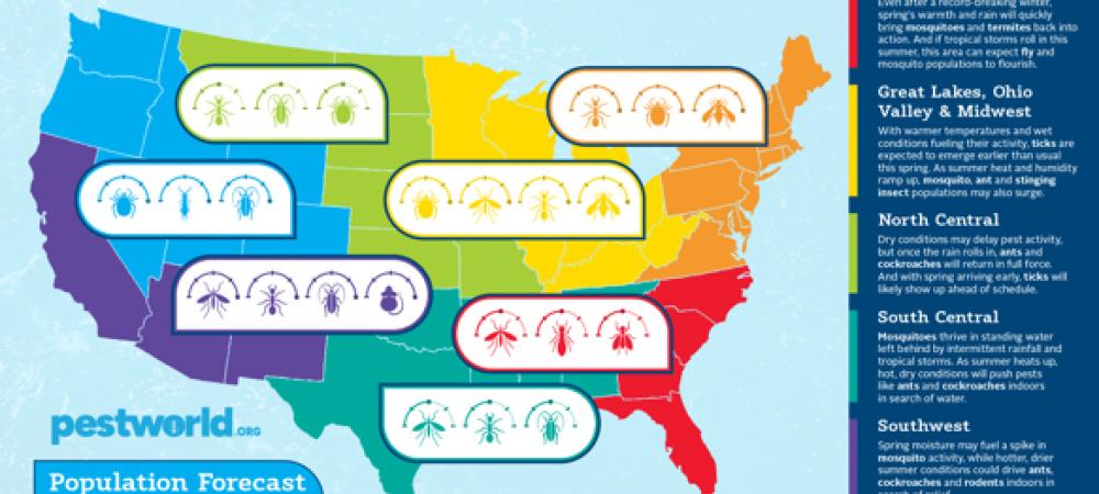 Bug Barometer 2025 Spring/Summer