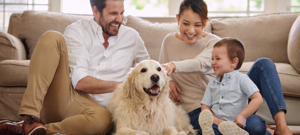 family-enjoying-home